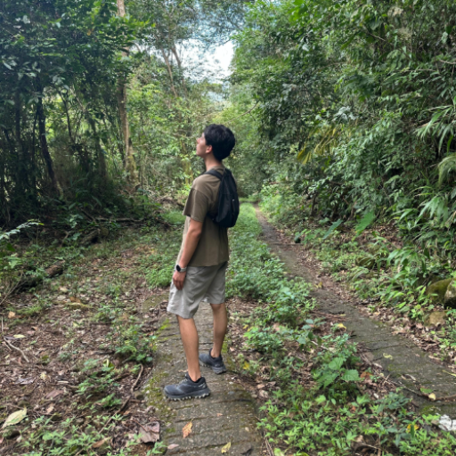 aledqtoro_avatar