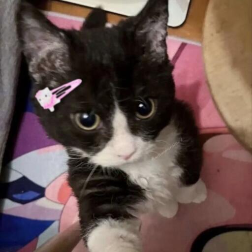 Valcaar_avatar