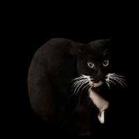 sticker image #9