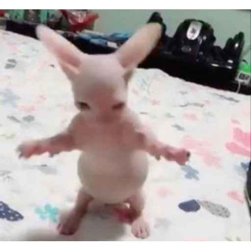 tray_icon #118346 sticker_pack