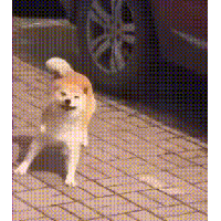 sticker image #10