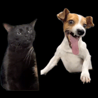 sticker image #16