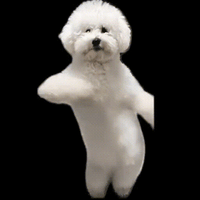 sticker image #21
