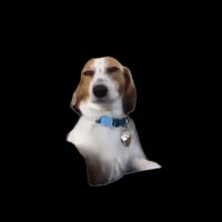 sticker image #23
