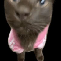sticker image #24
