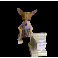 sticker image #29