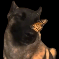 sticker image #23