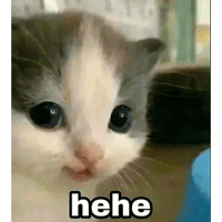 sticker image #21