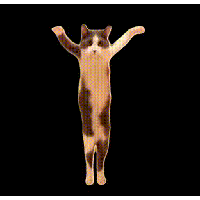sticker image #20