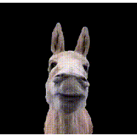 sticker image #13