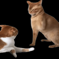 sticker image #17