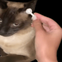 sticker image #18