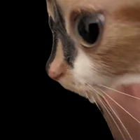 sticker image #20