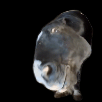 sticker image #26