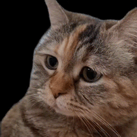 sticker image #27