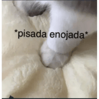 sticker image #10