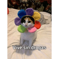 sticker image #16