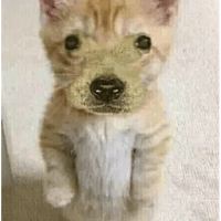 sticker image #25