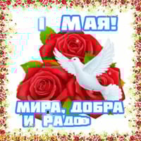 sticker image #13