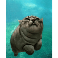 sticker image #4