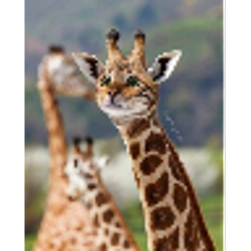 tray_icon #84014 sticker_pack