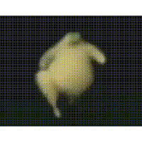 sticker image #10