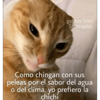 sticker image #18
