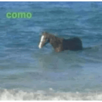 sticker image #26