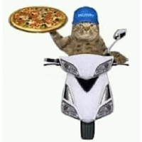 sticker image #21