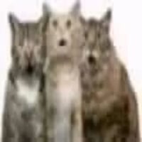 sticker image #5