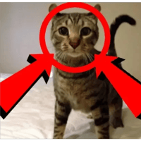 sticker image #5