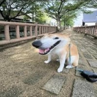 sticker image #22