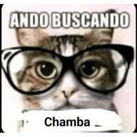 sticker image #24