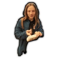 tray_icon