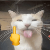 sticker image #29