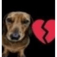 sticker image #15