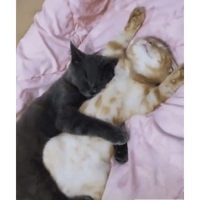 sticker image #21