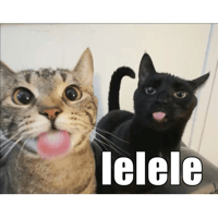 sticker image #30