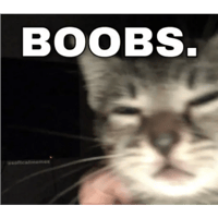 sticker image #7