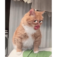 sticker image #12