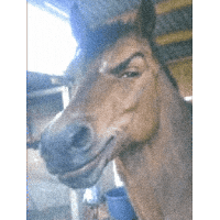 sticker image #10