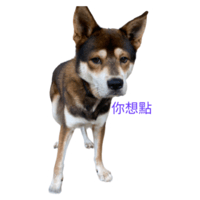 sticker image #10