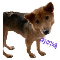 sticker image #15