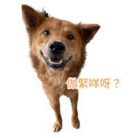 sticker image #18