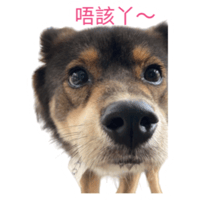 sticker image #19