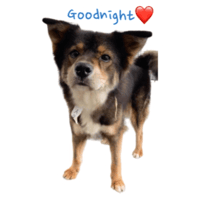 sticker image #20