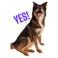 sticker image #22