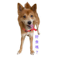 sticker image #24