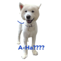 sticker image #28