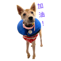 sticker image #29